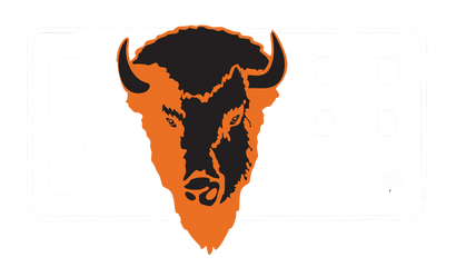 Healthy Bison Meat Snack Sticks - BUFF